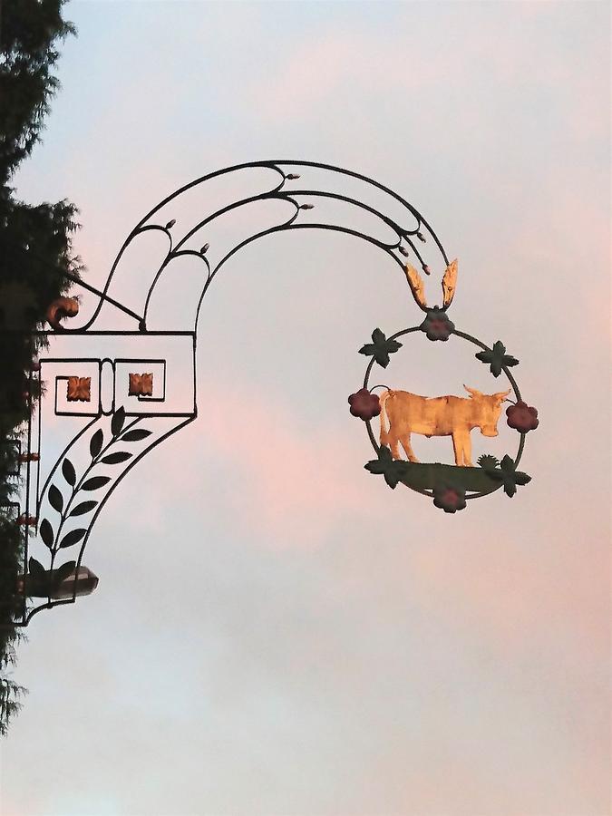 Gasthaus Zum Ochsen Neuhaus Zewnętrze zdjęcie
