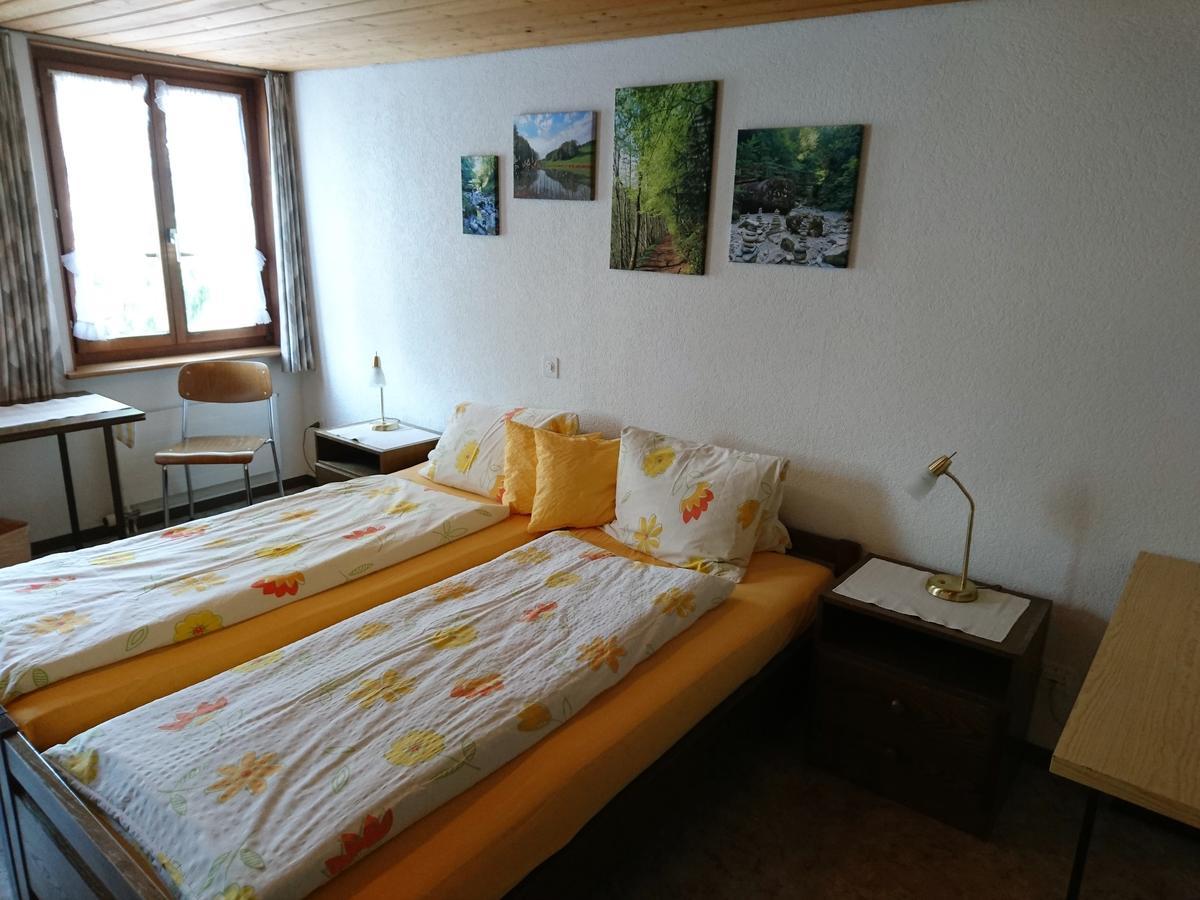 Gasthaus Zum Ochsen Neuhaus Zewnętrze zdjęcie