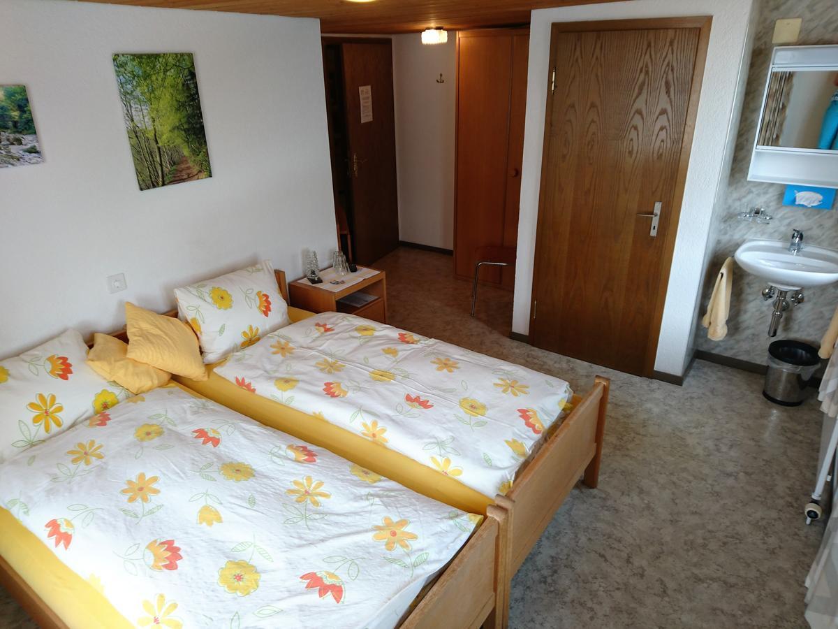 Gasthaus Zum Ochsen Neuhaus Zewnętrze zdjęcie